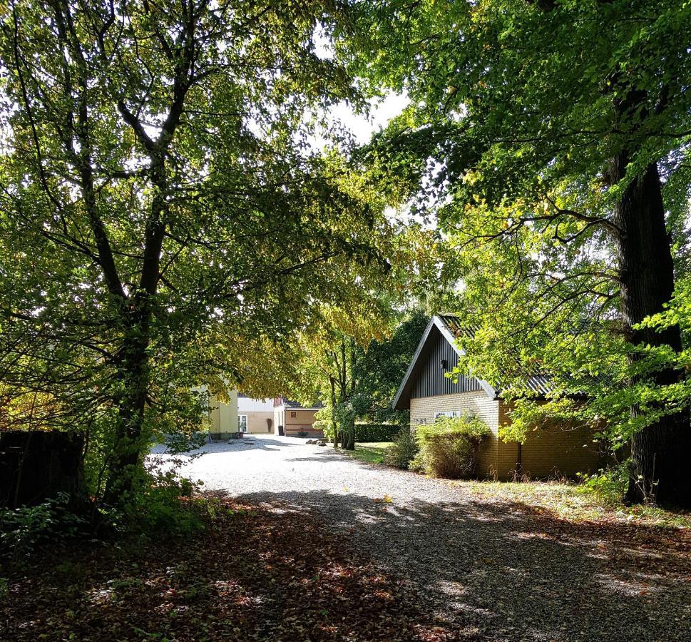 Pederstrup Bed And Breakfast Torrig 외부 사진