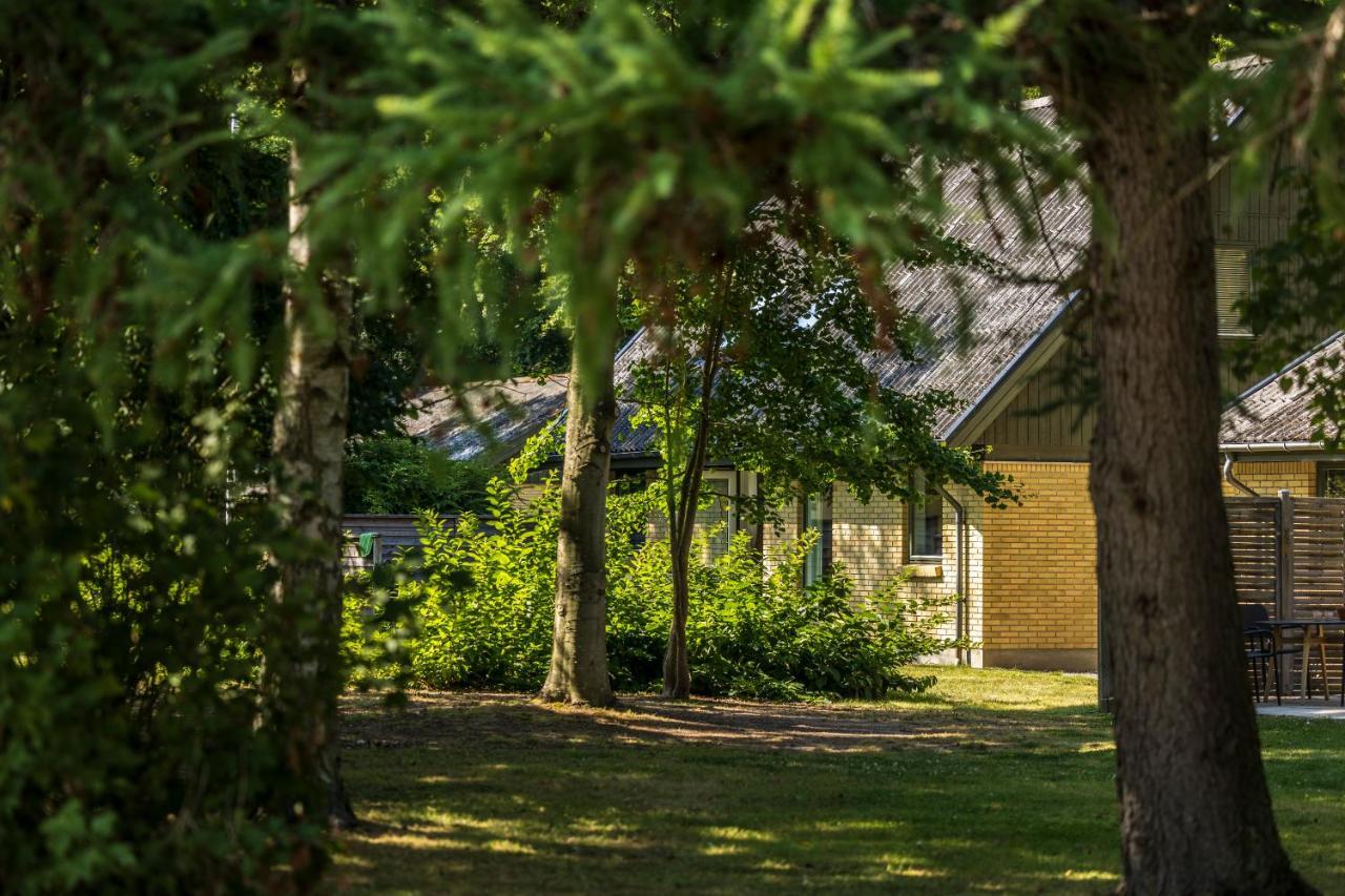 Pederstrup Bed And Breakfast Torrig 외부 사진