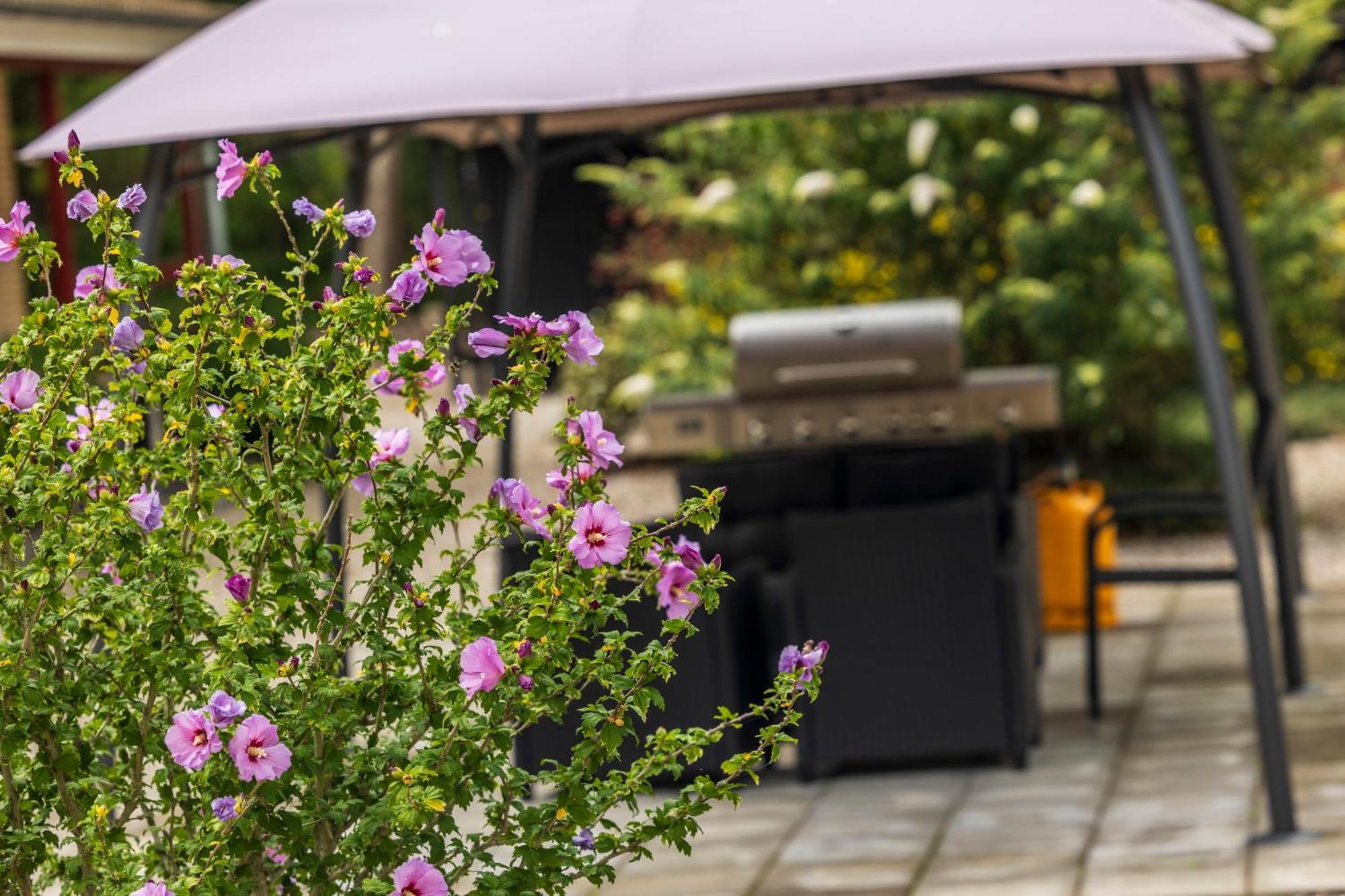 Pederstrup Bed And Breakfast Torrig 외부 사진